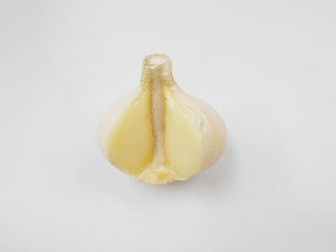 Cut Garlic Magnet