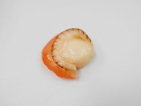 Scallop Magnet