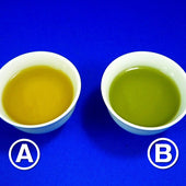 Assorted Japanese Tea Replica - Fake Food Japan