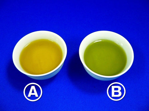 Assorted Japanese Tea Replica