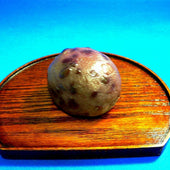 Botamochi Replica - Fake Food Japan