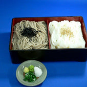 Chilled Soba & Udon Noodles Replica - Fake Food Japan