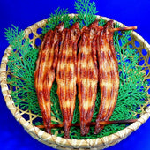 Grilled Eel Replica - Fake Food Japan