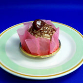 Mont Blanc (Chestnut Cream Meringue) Cake Replica - Fake Food Japan