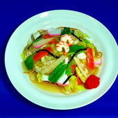 Sara Udon Noodle Dish Replica - Fake Food Japan