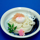 Shoyu (Soy Sauce) Udon Noodles with Egg Replica - Fake Food Japan