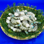 Shrimp Replica - Fake Food Japan