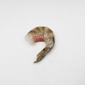 Black Tiger Shrimp Magnet - Fake Food Japan