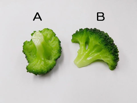 Broccoli (new) Ver. 2 (B) Magnet