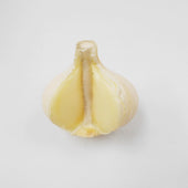 Cut Garlic Magnet - Fake Food Japan