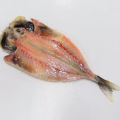Dried Aji (Horse Mackerel) Replica - Fake Food Japan