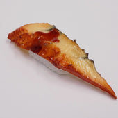 Eel Sushi Magnet - Fake Food Japan