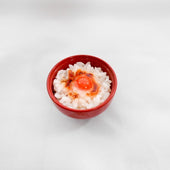 Egg & Rice Mini Bowl - Fake Food Japan
