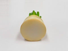 Japanese Radish (slanted) Pencil/Pen Stand