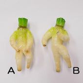 Japanese Radish Ver. 2 (B) Magnet - Fake Food Japan