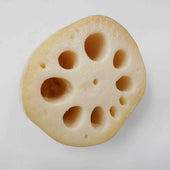 Lotus Root Pencil/Pen Stand - Fake Food Japan