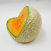 Melon Smartphone Stand - Fake Food Japan