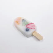 Mixed Fruit Ice Cream Bar Magnet - Fake Food Japan