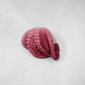 Octopus (Four Tentacles) Magnet - Fake Food Japan