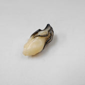 Oyster Plug Cover - Fake Food Japan