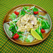 Salad with Shabu Shabu Buta-niku (Pork) Ver. 2 Replica - Fake Food Japan