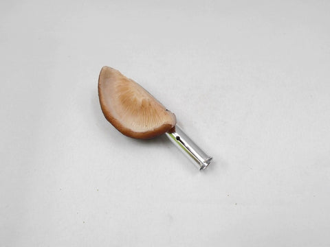 Shiitake Mushroom Pen Cap