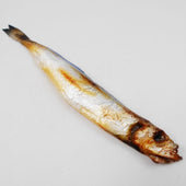 Shishamo Magnet - Fake Food Japan