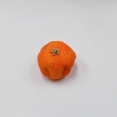Spoiled Orange Magnet - Fake Food Japan