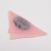 Strawberry Yatsuhashi Magnet - Fake Food Japan