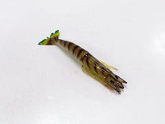 Tiger Shrimp Replica