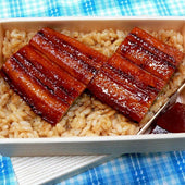 Unaju (Rice Bowl with Japanese Eel) Ver. 1 Replica - Fake Food Japan