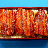 Unaju (Rice Bowl with Japanese Eel) Ver. 2 Replica - Fake Food Japan