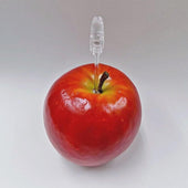 Whole Apple Card Stand - Fake Food Japan