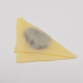 Yatsuhashi Magnet - Fake Food Japan